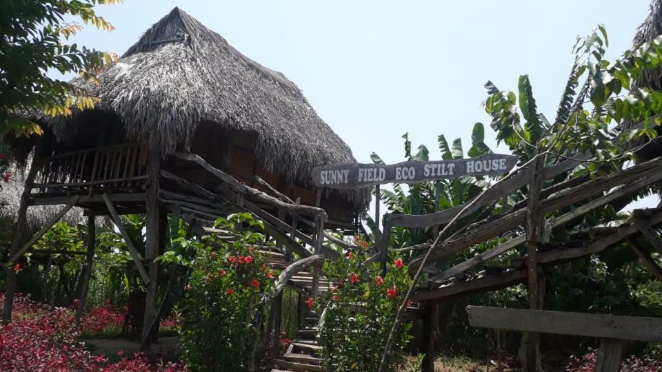 Sunny Field Eco Stilt House Villa Cat Tien Exterior photo